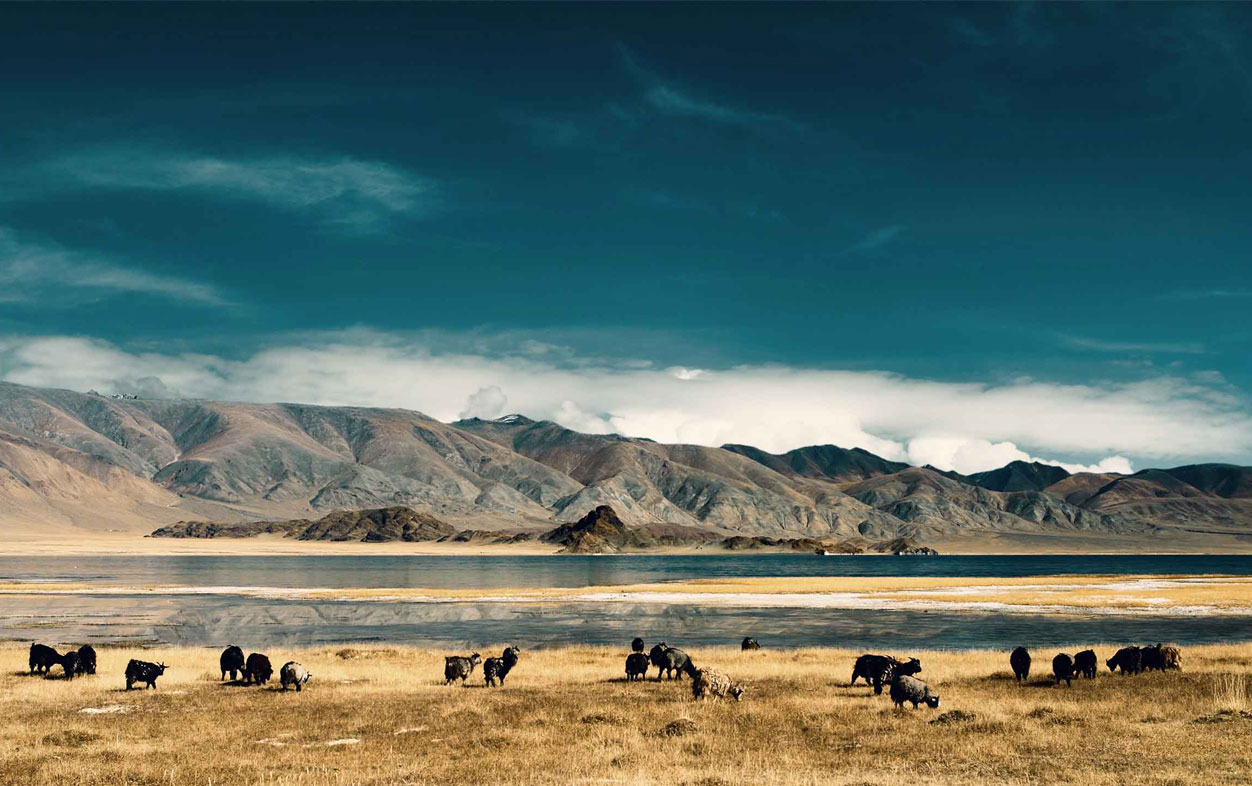 Mongolia-Minin-Nadam_Cover